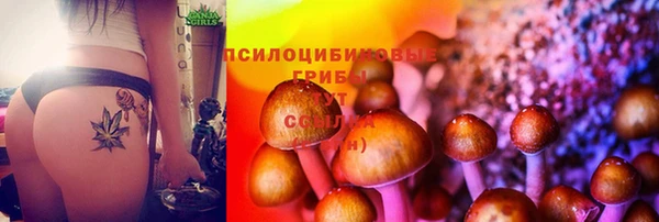 apvp Абаза