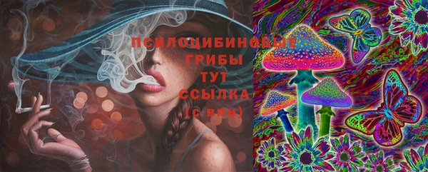 индика Абдулино