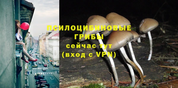 кокаин премиум Пролетарск