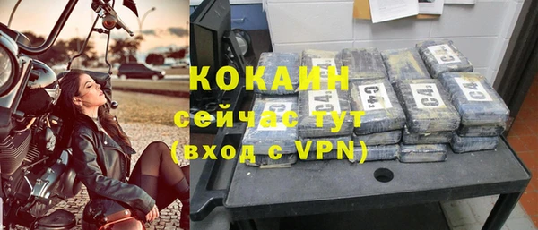 индика Абдулино