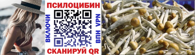 наркота  omg маркетплейс  Псилоцибиновые грибы MAGIC MUSHROOMS  Горбатов 